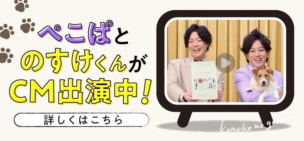 コノコトトモニ メインバナー